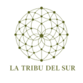 logo oliva web